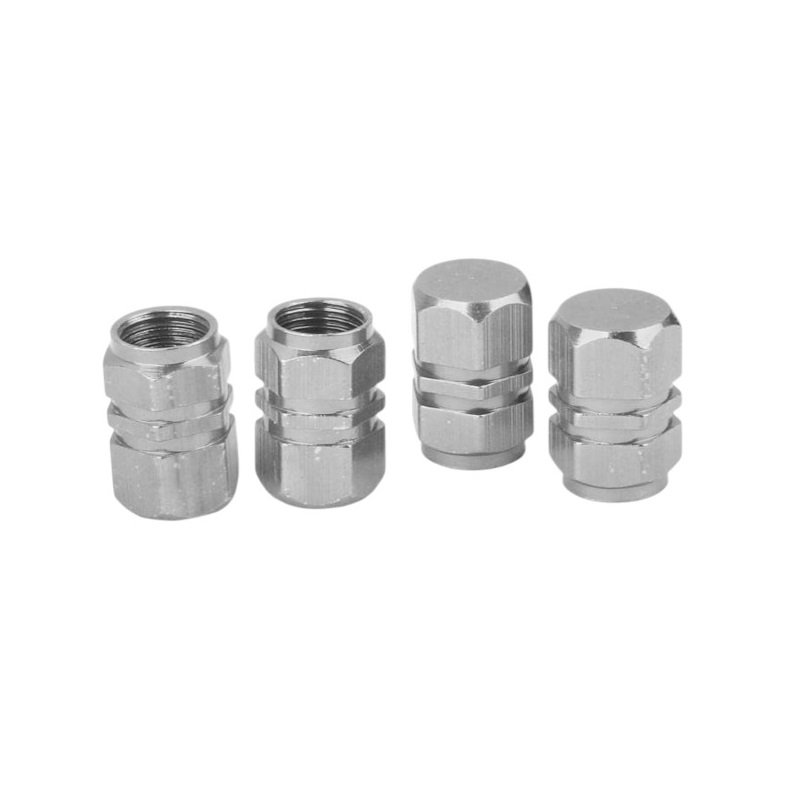 Car tire valve cap - R-Z17104-4U - 140521 - Silver