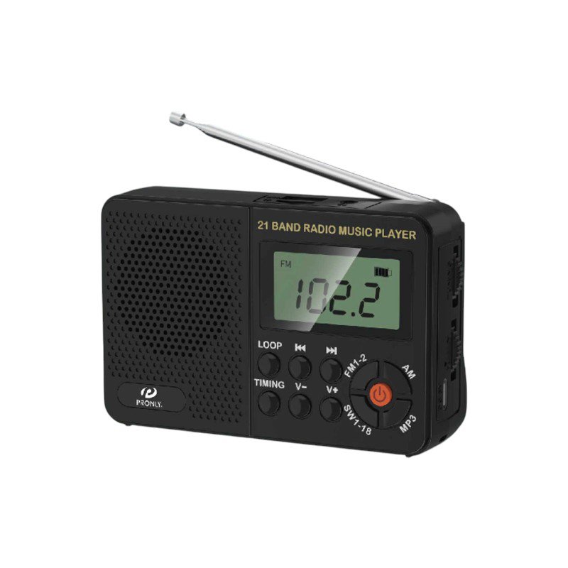 Rechargeable radio with Bluetooth - PR-513BT - 705131